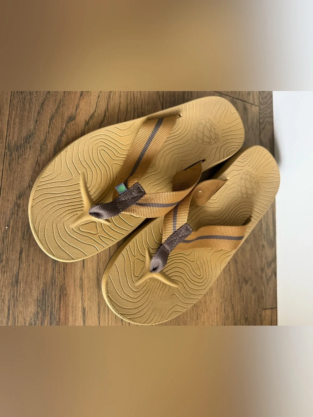 Stio Bircher Flip Flops